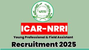 ICAR NRRI Young Professional and Field Assistant Recruitment